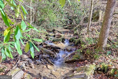 Welcome to Unplugged Creekstone Cabin. Rare opportunity to own - photo 2