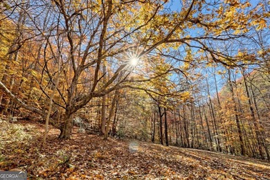 Welcome to Unplugged Creekstone Cabin. Rare opportunity to own - photo 4
