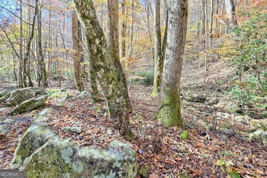 Welcome to Unplugged Creekstone Cabin. Rare opportunity to own - photo 8