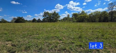 Center Hill Lake Lot For Sale in Baxter Tennessee