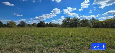 Center Hill Lake Lot For Sale in Baxter Tennessee