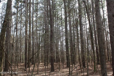 525+/- acres of prime residential development acreage located in - photo 15