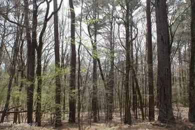 525+/- acres of prime residential development acreage located in - photo 17
