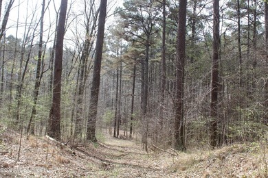 525+/- acres of prime residential development acreage located in - photo 19