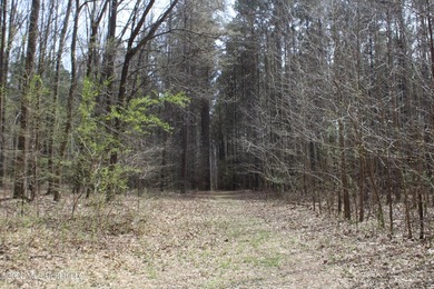525+/- acres of prime residential development acreage located in - photo 20