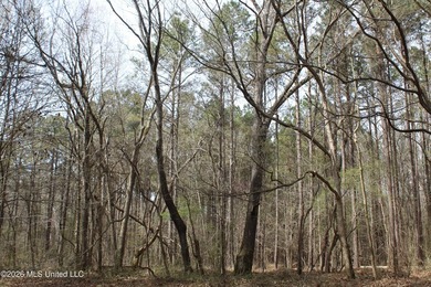 525+/- acres of prime residential development acreage located in - photo 21