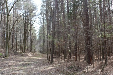 525+/- acres of prime residential development acreage located in - photo 22
