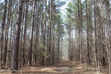 525+/- acres of prime residential development acreage located in - photo 24