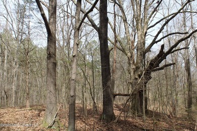 525+/- acres of prime residential development acreage located in - photo 25