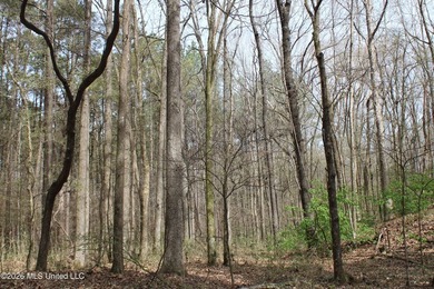 525+/- acres of prime residential development acreage located in - photo 26