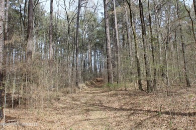 525+/- acres of prime residential development acreage located in - photo 27