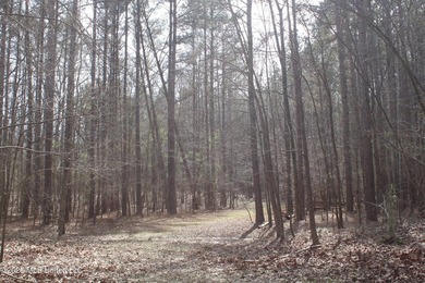 525+/- acres of prime residential development acreage located in - photo 31