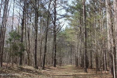 525+/- acres of prime residential development acreage located in - photo 32