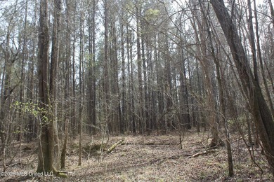 525+/- acres of prime residential development acreage located in - photo 34