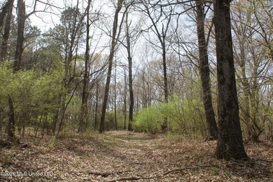 525+/- acres of prime residential development acreage located in - photo 36