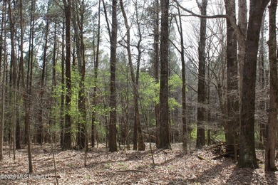 525+/- acres of prime residential development acreage located in - photo 37