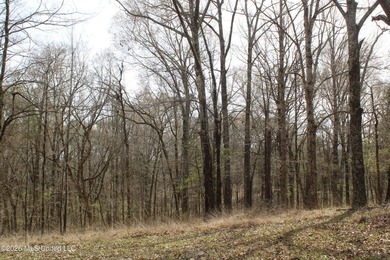 525+/- acres of prime residential development acreage located in - photo 38