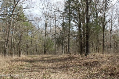 525+/- acres of prime residential development acreage located in - photo 39
