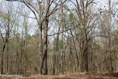 525+/- acres of prime residential development acreage located in - photo 40