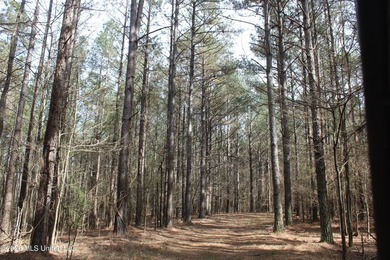 525+/- acres of prime residential development acreage located in - photo 43