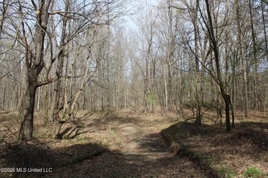 525+/- acres of prime residential development acreage located in - photo 44