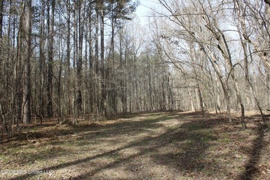 525+/- acres of prime residential development acreage located in - photo 45