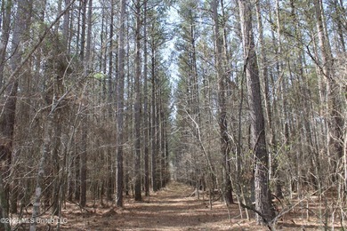 525+/- acres of prime residential development acreage located in - photo 46