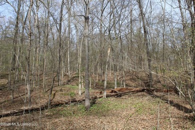 525+/- acres of prime residential development acreage located in - photo 47