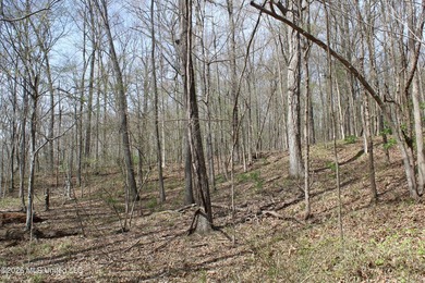 525+/- acres of prime residential development acreage located in - photo 48