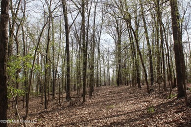 525+/- acres of prime residential development acreage located in - photo 50