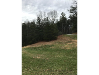 Bring your HOUSEPLANS with you as you view this property and - Lake Lot For Sale in Robbinsville, North Carolina