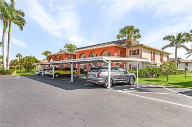 Lake Condo For Sale in Naples, Florida