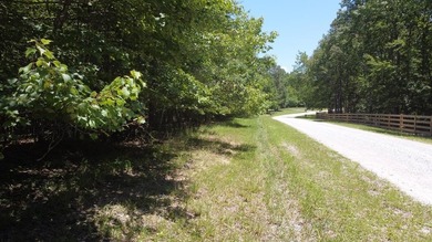 Long Branch Lake Lot For Sale in Spencer Tennessee