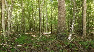 Beautiful lot in Long Branch! Great location that is just a - photo 2