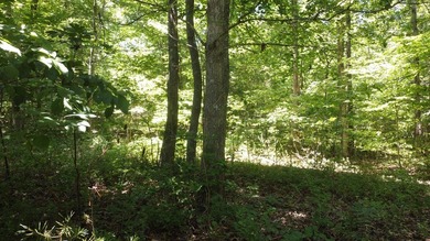 Beautiful lot in Long Branch! Great location that is just a - photo 4
