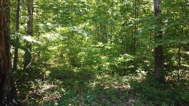 Beautiful lot in Long Branch! Great location that is just a - photo 5