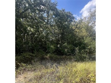 Lake Ray Roberts Lot For Sale in Valley View Texas