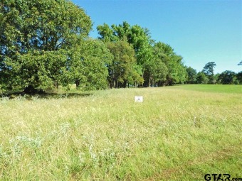 Lake Lot Off Market in Mount Pleasant, Texas