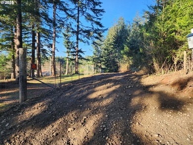 NEW road built - This forested parcel offers the perfect blend - photo 1