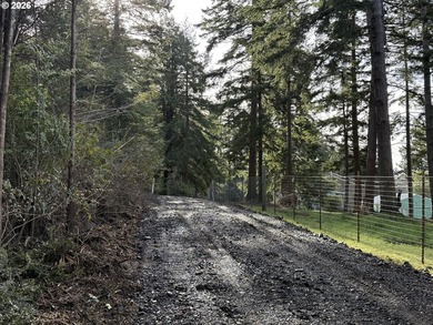 NEW road built - This forested parcel offers the perfect blend - photo 2