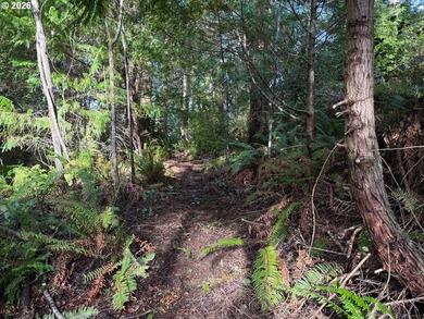 NEW road built - This forested parcel offers the perfect blend - photo 4