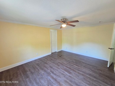 Welcome to 221 Elm Grove Rd, a delightful property nestled in - photo 9