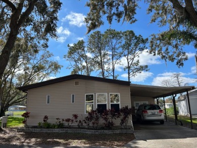 Lake Home For Sale in Odessa, Florida