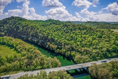Fishing & Hunting Camp with Mountain Views and River Frontage - photo 2