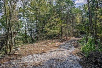 Fishing & Hunting Camp with Mountain Views and River Frontage - photo 7