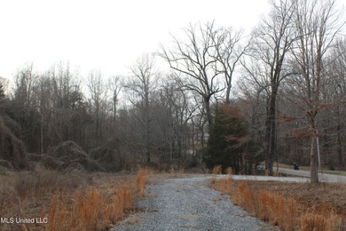 (private lake, pond, coastal) Acreage For Sale in Holly Springs Mississippi