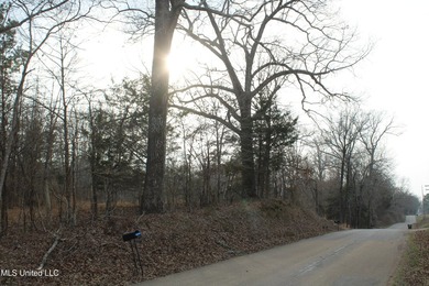 7.82 acres located south of Highway 78 between Red Banks and - photo 2
