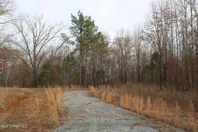 7.82 acres located south of Highway 78 between Red Banks and - photo 4