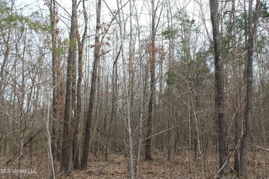 7.82 acres located south of Highway 78 between Red Banks and - photo 5