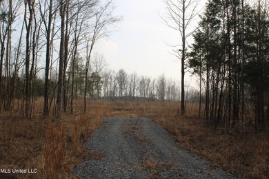 7.82 acres located south of Highway 78 between Red Banks and - photo 6